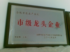 2010年市級龍頭企業