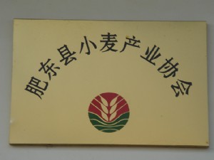 肥東縣小麥產業協會